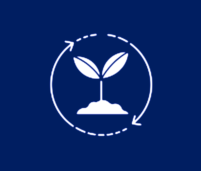 icono item pilares y programas