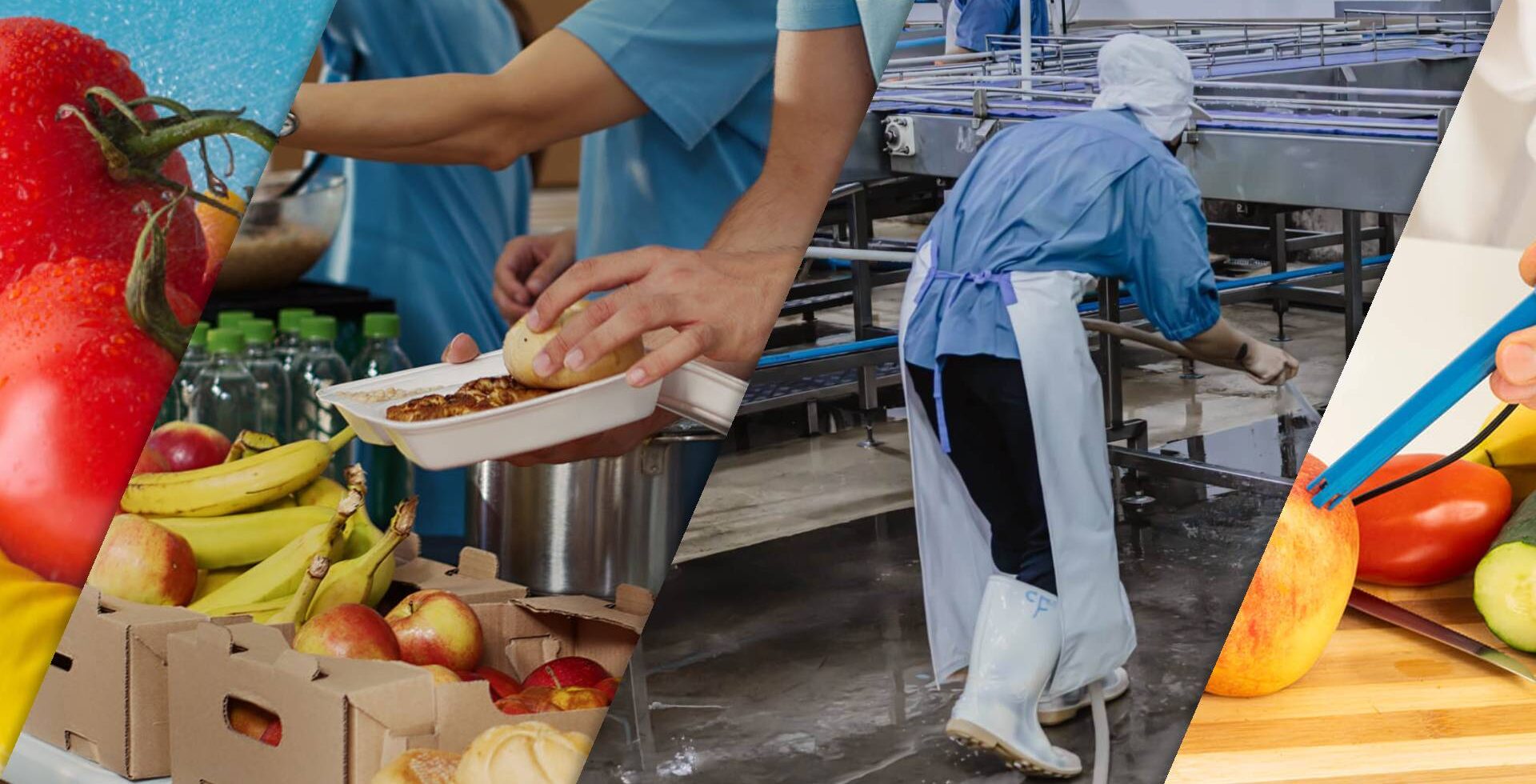 Everklean, Línea de Inocuidad Alimentaria